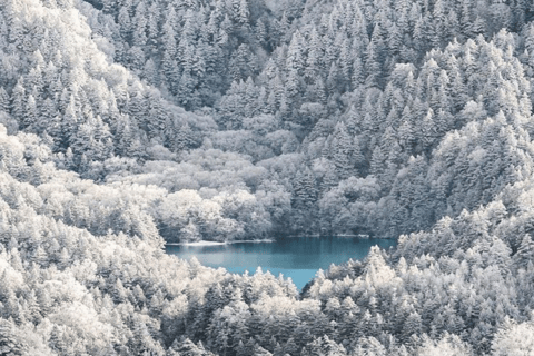 From Tokyo: Nagano Private Day Trip with Zenko-ji Temple