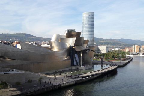 Da San Sebastian: tour privato del Museo Bilbao e Guggenheim