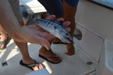 Au départ de Sorrente : Pêche à Capri avec déjeuner