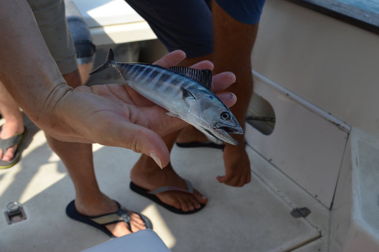 Da Sorrento: pesca a Capri con pranzo