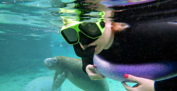 Manatees and Rainbow River by SCUBA or Snorkel 2023 - Crystal River