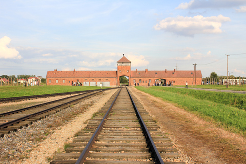 Z Krakowa: Auschwitz-Birkenau Memorial Tour z przewodnikiem