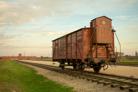 Desde Cracovia: Visita guiada al Memorial de Auschwitz-Birkenau