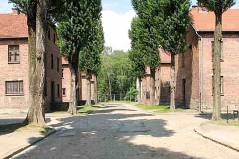 From Krakow: Auschwitz-Birkenau Tour with Pick-up Options