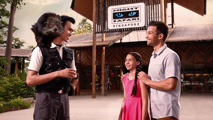 singapore night safari combo ticket