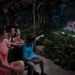 Singapore: biglietto d'ingresso per il Night Safari e giro in tram