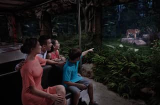 Singapur: Eintrittskarte für die Night Safari mit Straßenbahnfahrt