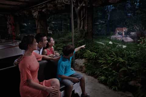 Singapore: Night Safari and Tram Ride Ticket