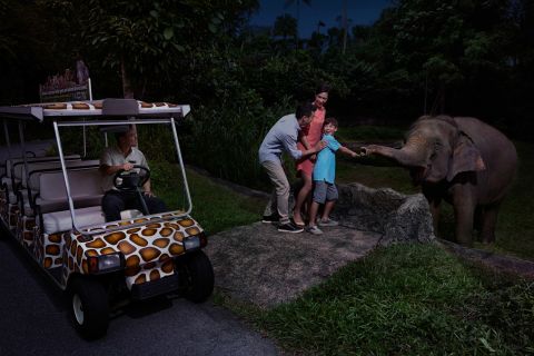 Singapur: safari nocturno y ticket para viaje en tranvía