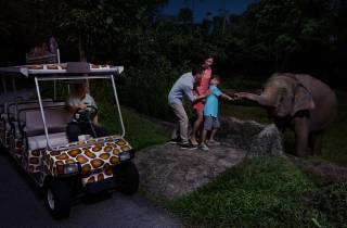 Singapur: Nacht-Safari und Straßenbahnfahrt