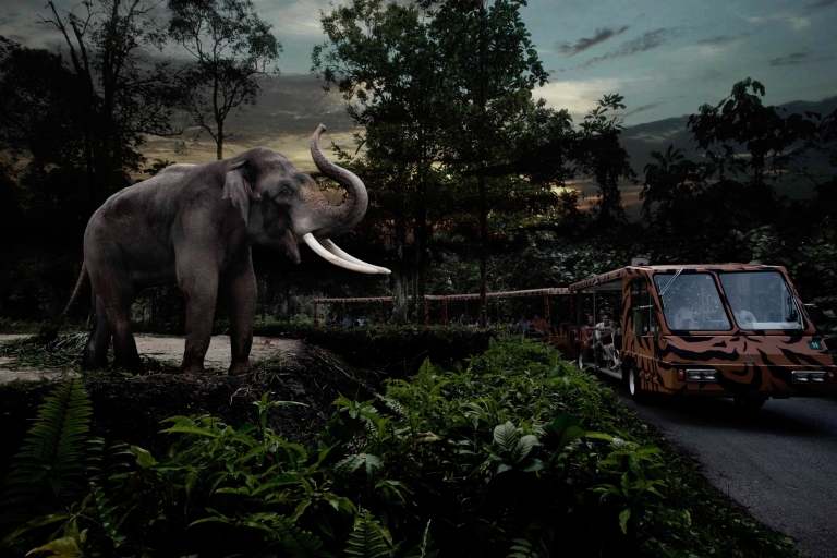 Singapour : safari de nuit et billet de tramway