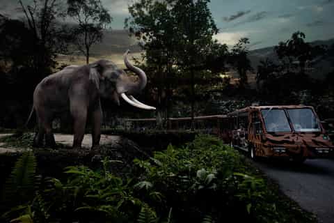 Singapore: Night Safari and Tram Ride Ticket