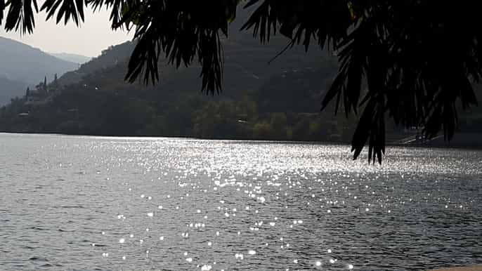 douro valley private tour