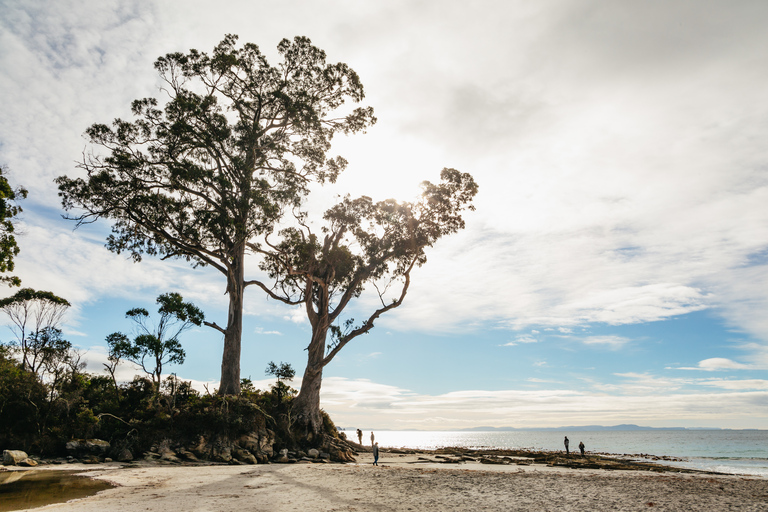 Hobart : Aventure sur l'île de Bruny avec déjeuner et visite du phare