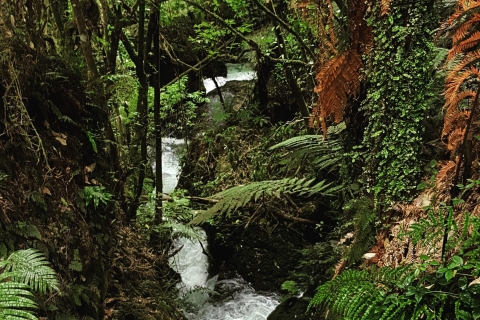 Van Rotorua: Eco Culturele dagtourVan Rotorua: dagtour ecocultuur en dieren in het wild