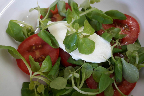 Wyspa Šolta ze Splitu: Prywatna wycieczka na rowerze elektrycznymWyspa Šolta: Prywatna wycieczka na rowerze elektrycznym