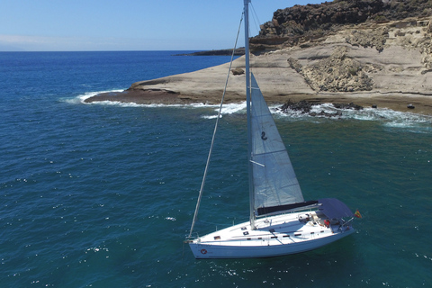 Tenerife: Whale and Dolphin Watching Tour by Sailboat