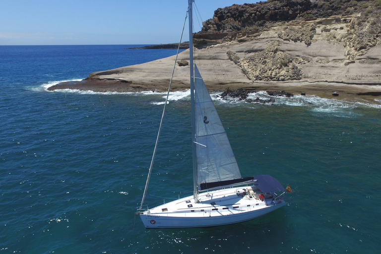 Tenerife: Whale and Dolphin Watching Tour by Sailboat