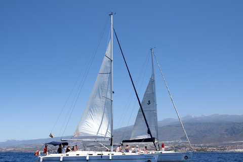 Tenerife: Whale and Dolphin Watching Tour by Sailboat