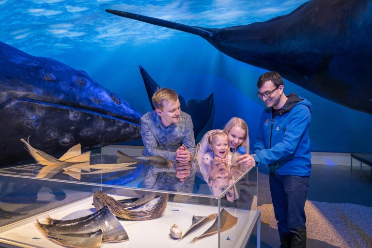 Reykjavík: Ticket für die Ausstellung „Die Wale Islands“