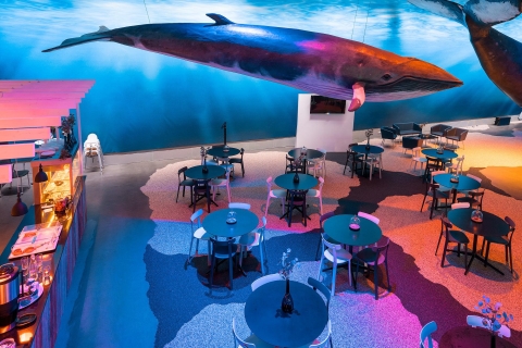 Reyjkavik: toegang tentoonstelling Whales of Iceland