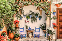Córdoba, Guided Tour of the Patios - Housity