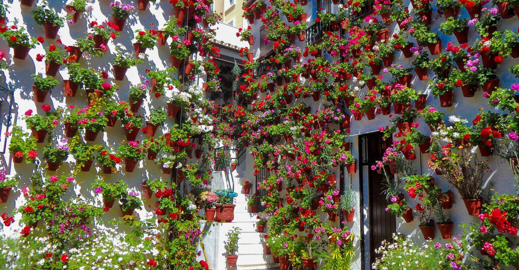 Córdoba, Guided Tour of the Patios - Housity