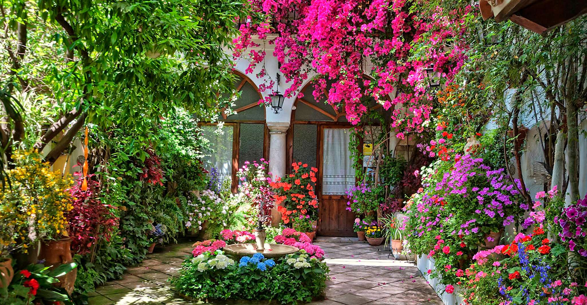 Córdoba, Guided Tour of the Patios - Housity