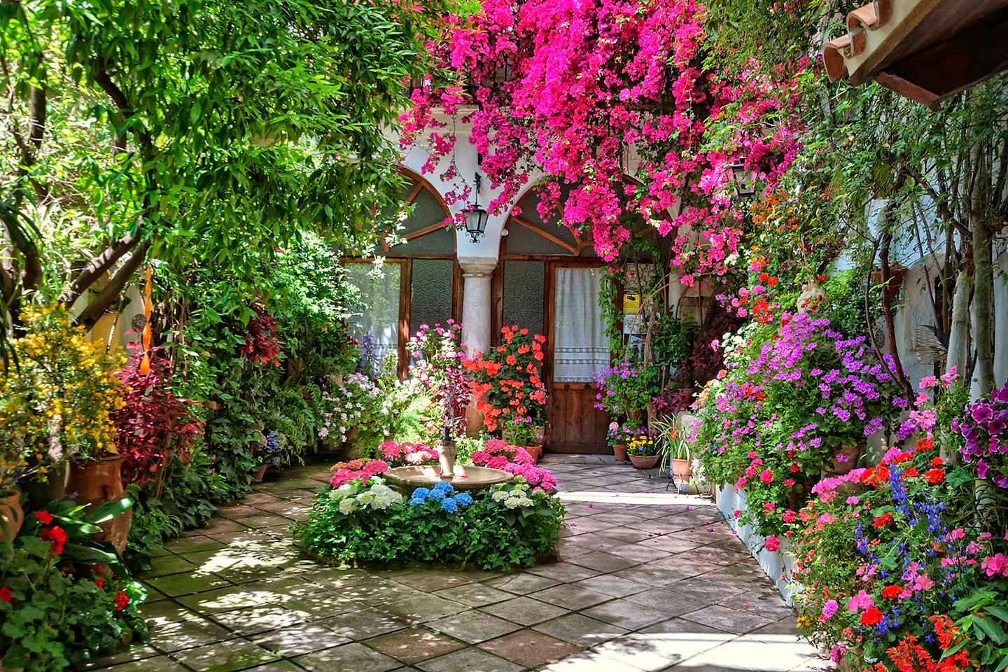Córdoba: Guided Tour of the Patios