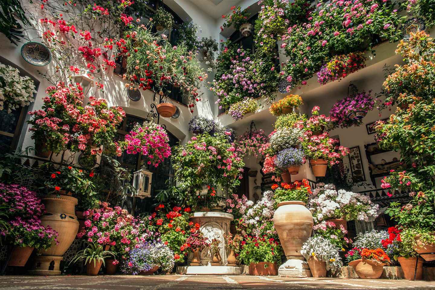 Córdoba: Guided Tour of the Patios