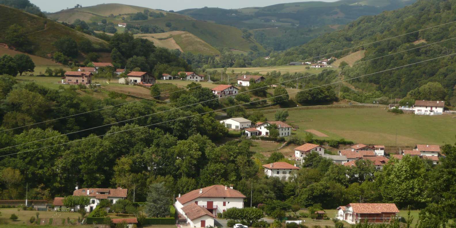 section