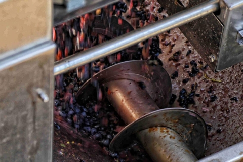 Van Sorrento: rondleiding door de wijnmakerij, proeverij en lunch