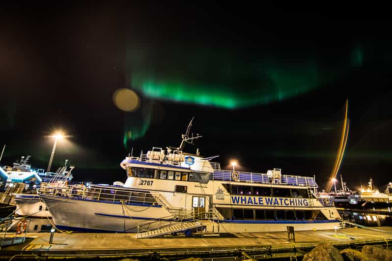 Reykjavik 2Hour Northern Lights by Boat with Backup Plan GetYourGuide