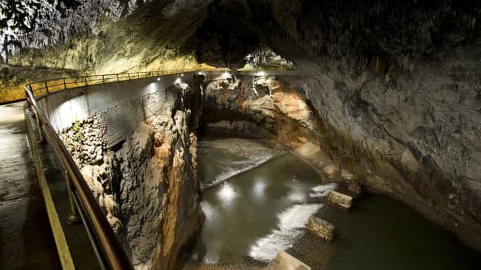ljubljana private tour to Škocjan caves lipica stud farm