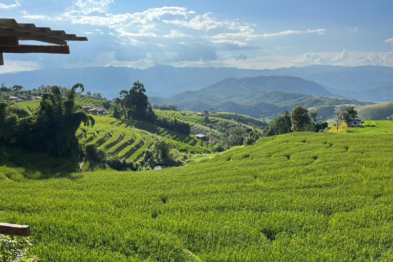 Terrazze di riso di Pa Pong Piang e Parco nazionale di Doi InthanonTerrazze di riso Pa Pong Piang e Parco Nazionale Doi Inthanon