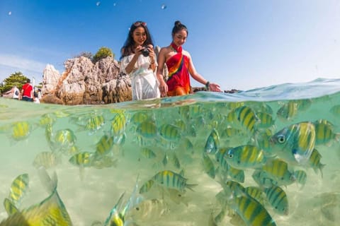 Phuket: 3 Khai Islands Snorkeling Tour