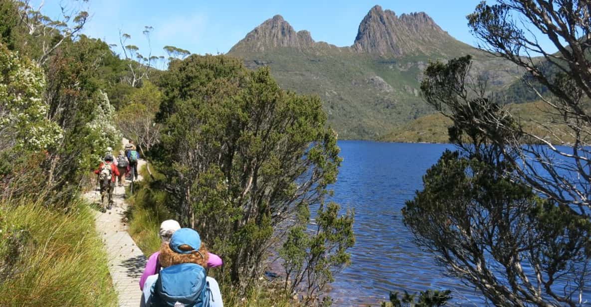 Cradle Mountain: Day Trip from Launceston with Lunch