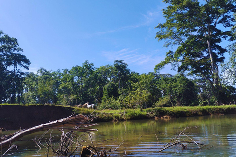 Private Kayaking Adventure: a 2-hour Wildlife Escape Self-Guided Kayaking Adventure: a 2-hour Wildlife Escape