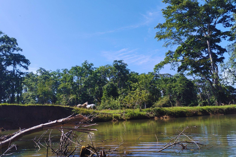 Private Kayaking Adventure: a 2-hour Wildlife Escape Self-Guided Kayaking Adventure: a 2-hour Wildlife Escape