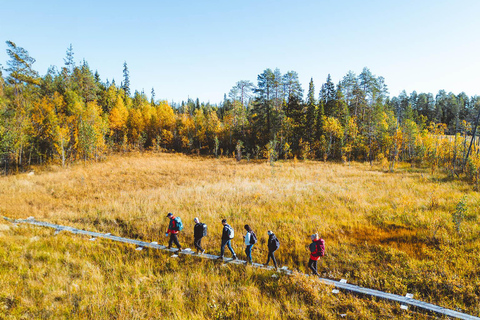 Rovaniemi: Guided tour in Arctic Circle Trekking area