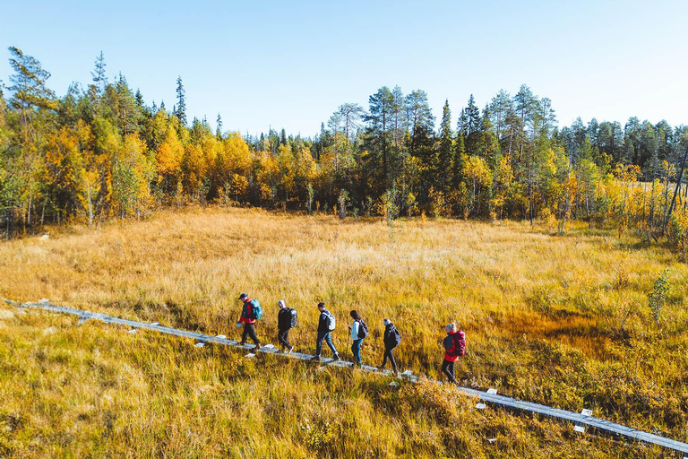 Rovaniemi: Guided tour in Arctic Circle Trekking area