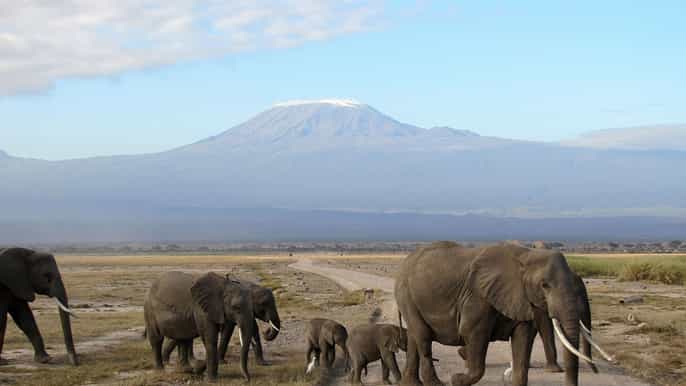 overnight safari to amboseli