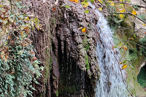 From Bucharest: Eco Trail in Bulgarian Conservation Parks