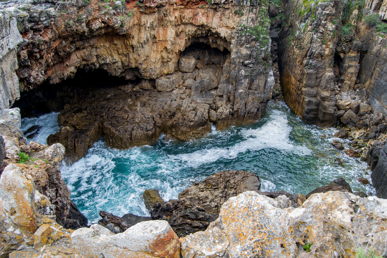 Da Lisbona: tour privato di mezza giornata a Sintra Cascais