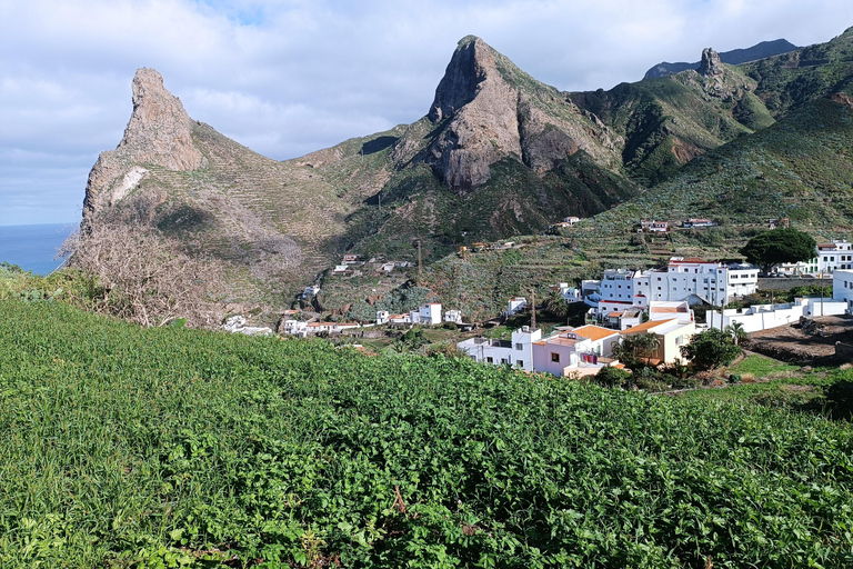 Puerto de la Cruz: Avatar-skogen -Taganana-Teresitas+coctail