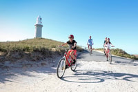 From Fremantle, Rottnest Island Ferry and Bike Day Tour - Housity
