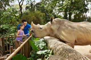 Zoo Singapur: E-Tagesticket