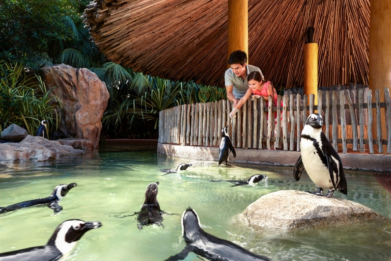 Zoo de Singapur: ticket de acceso electrónico de 1 díaBoleto de entrada solamente