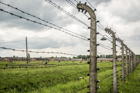 Desde Cracovia: tour guiado a Auschwitz-Birkenau y trasladosTour privado con recogida privada