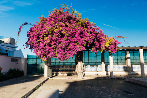 Lisbon: Private Evening Tour with Drinks &amp; Bites in Alfama